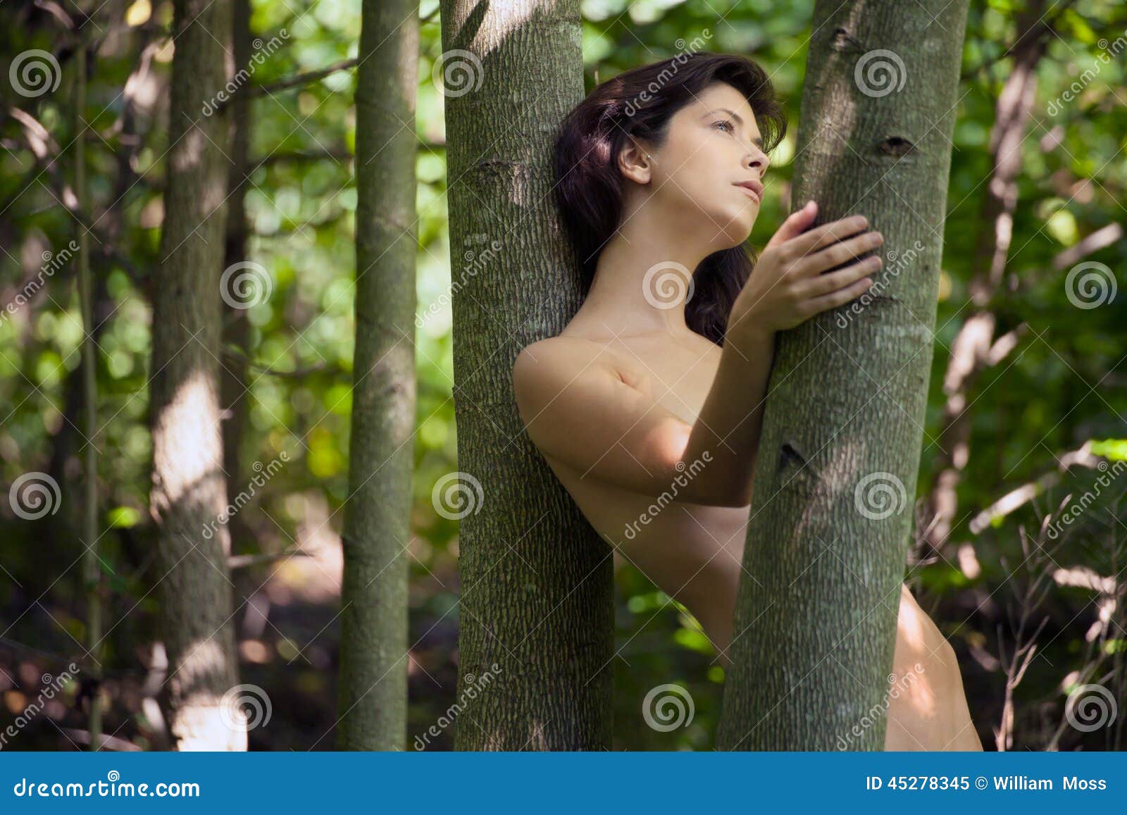 christian kober recommends nude woman in woods pic