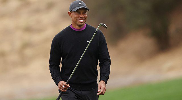 apple lay add photo tiger woods dick size