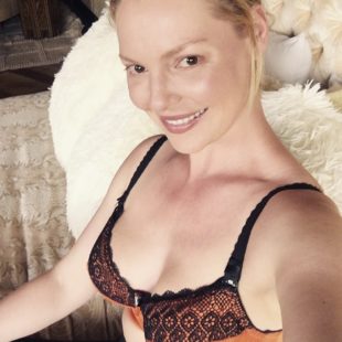 Katherine Heigl The Fappening guide user
