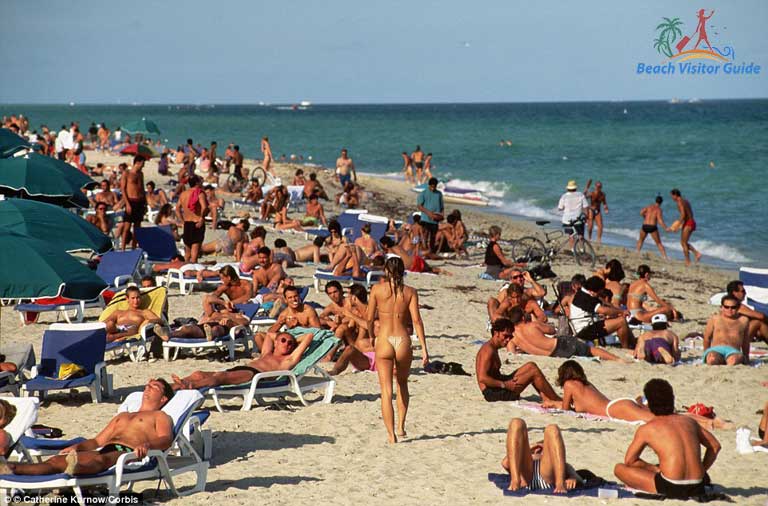 dave vanvalkenburg recommends miami nude beach photos pic