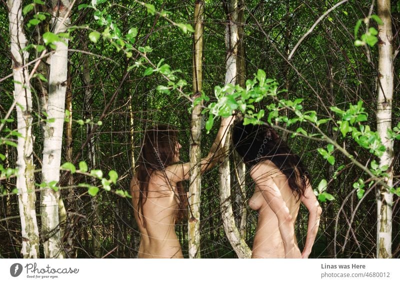 dae hong kim add nude woman in woods photo