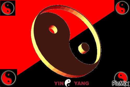 abbie garrighan add yin and yang gif photo