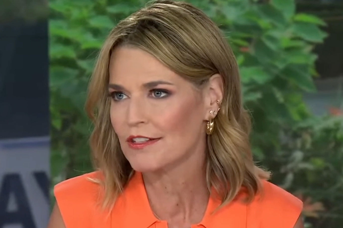 alex ter recommends Savannah Guthrie Nude