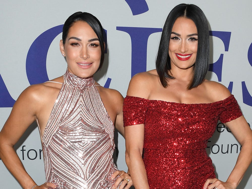 Bella Twins Nude Fakes bdsm praktiken