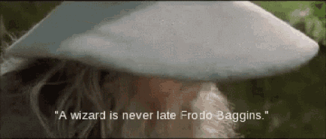 alin gavrilescu share a wizard is never late gif photos