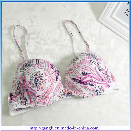 bernardo gentil add chinese push up bra photo