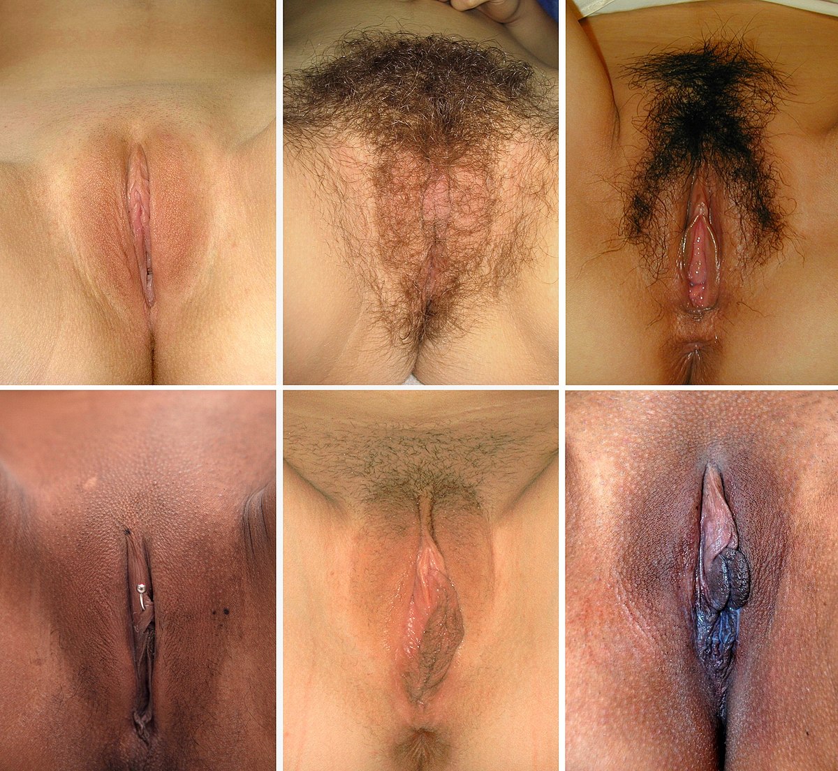 carl stedman recommends vagina real pictures pic