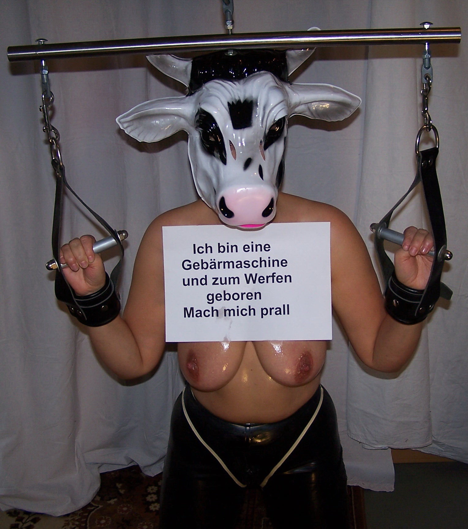 chriss hunter recommends Cow Milking Machine Porn