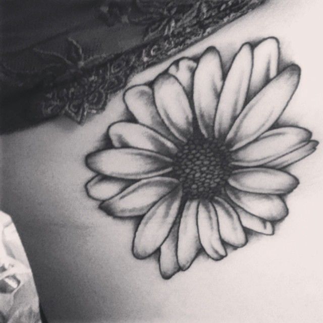 debbie kranz add daisy tattoo black and white photo