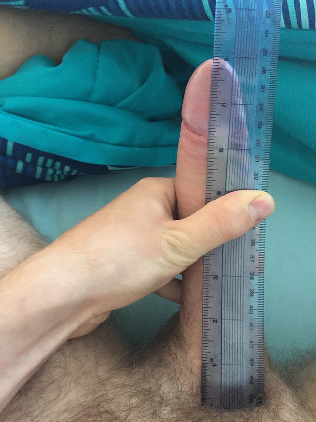 alan del cid recommends 9 Inch Dick Next To Ruler