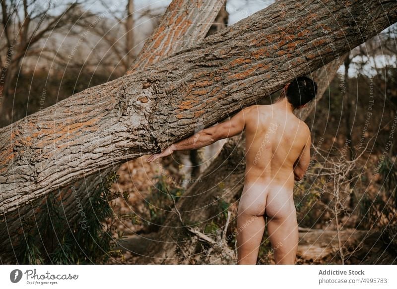 Nude Men In The Forest doctors tmb