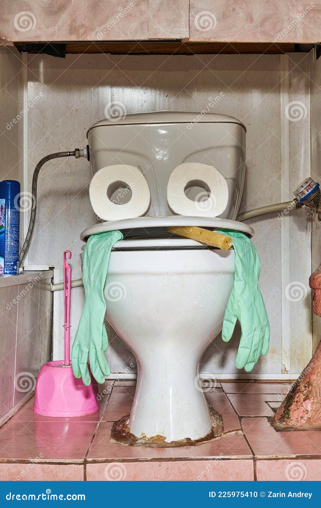 donna routen share human toilet paper photos