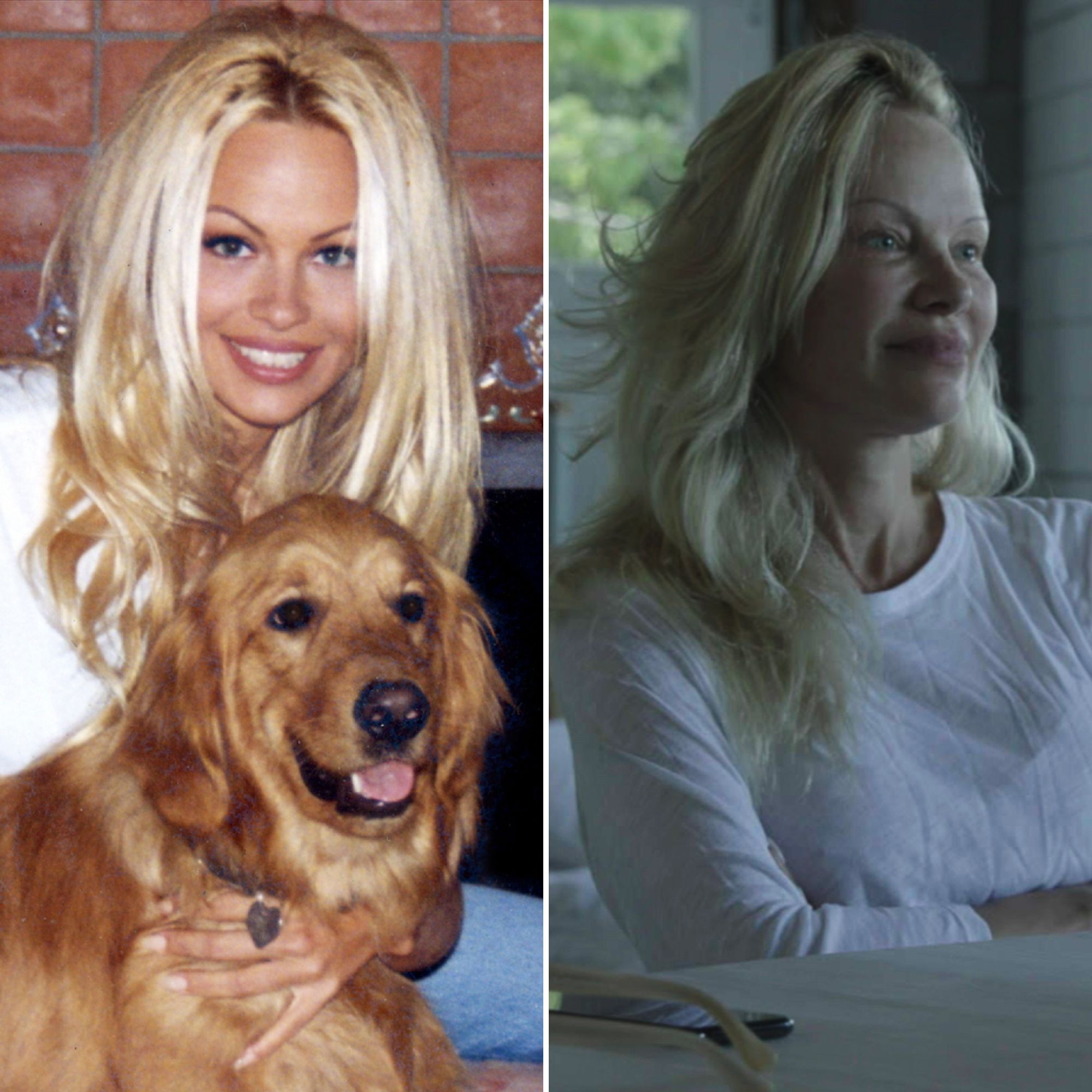 anjula de silva recommends Pamala Anderson Nude Video