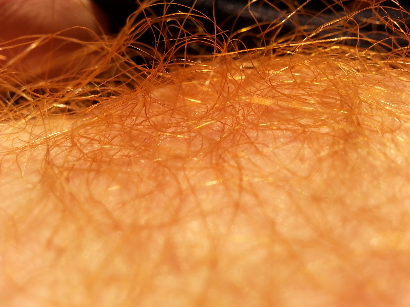 Ginger Pubic Hair kiana naked