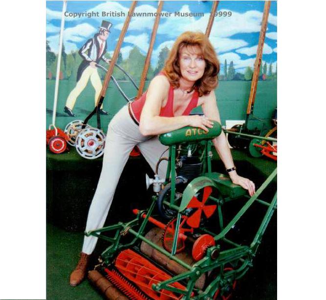 dianne galindo add antique lawn mowers for sale photo