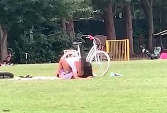 couple having sex in park