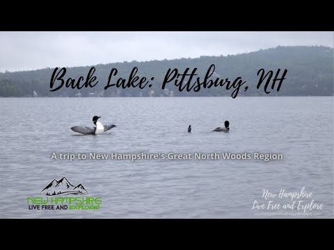 ashlee clifford recommends back page nh pic