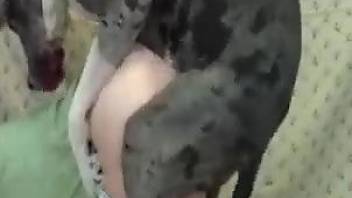carolyn wanjiru add photo chick gets fucked by dog