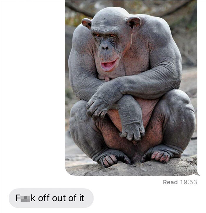 ari sartono recommends girl fucked by chimp pic