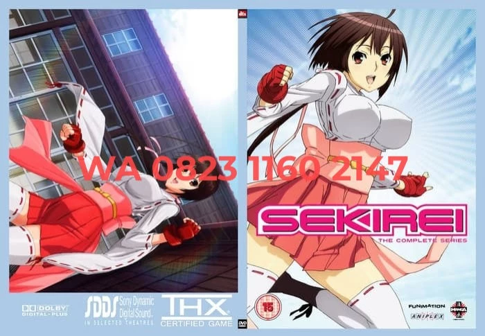 boss ad recommends sekirei episode 1 sub pic