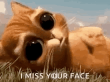 buck franklin add i miss your face gif photo