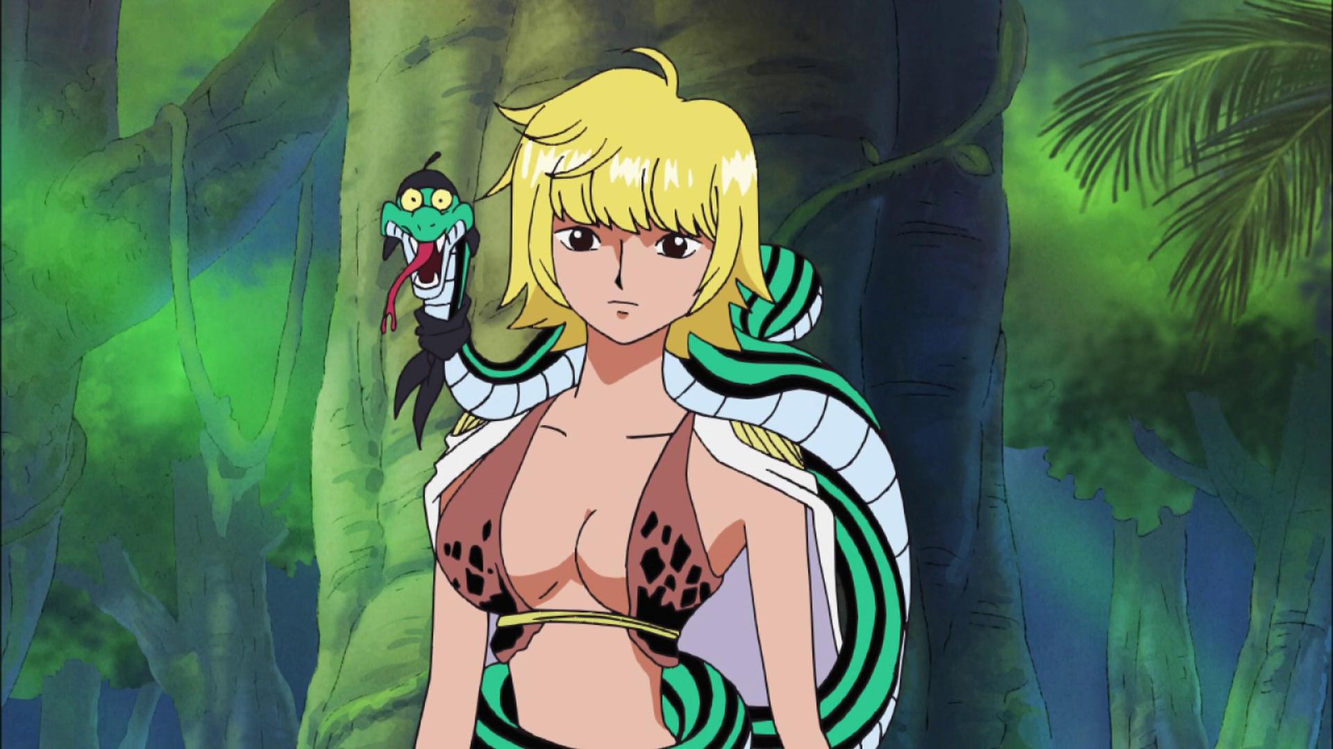 Best of Amazon lily one piece episode