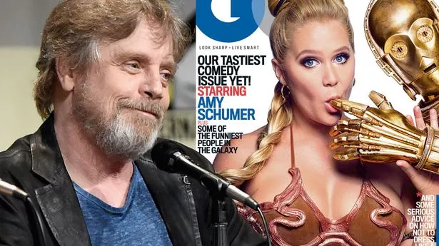 bharat motwani recommends amy schumer rule 34 pic