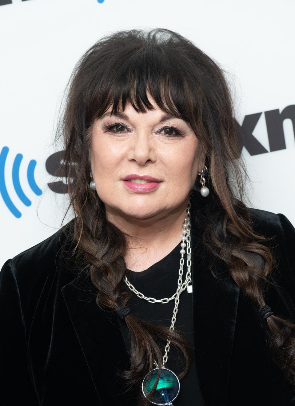 chad vanwinkle recommends ann wilson photos pic