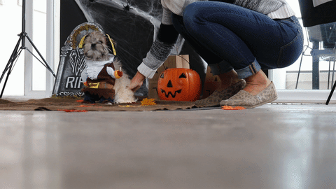 angela mccafferty recommends funny halloween gif pic