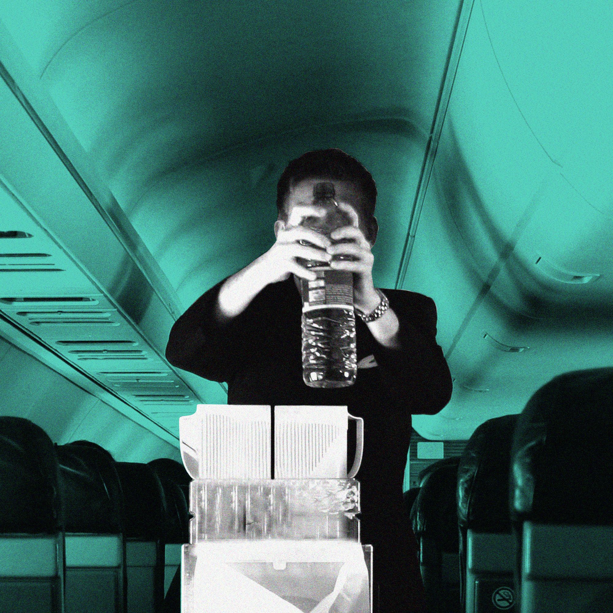 brenna boyce recommends Sexy Flight Attendant Tumblr
