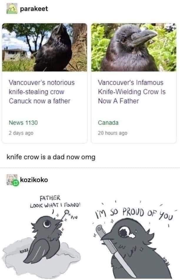 bird and crow meme