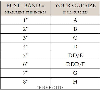bra size chart with real pictures