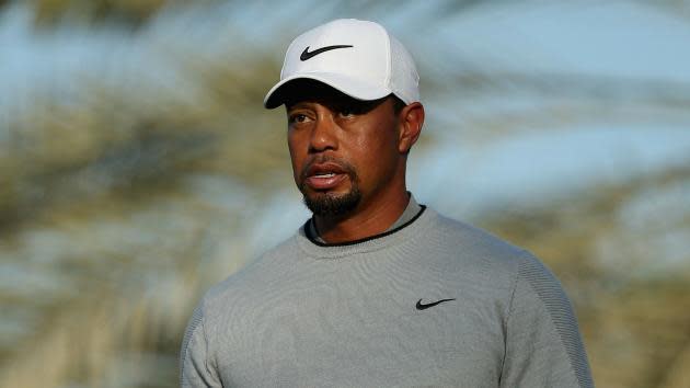 annie groover recommends celebrity jihad tiger woods pic