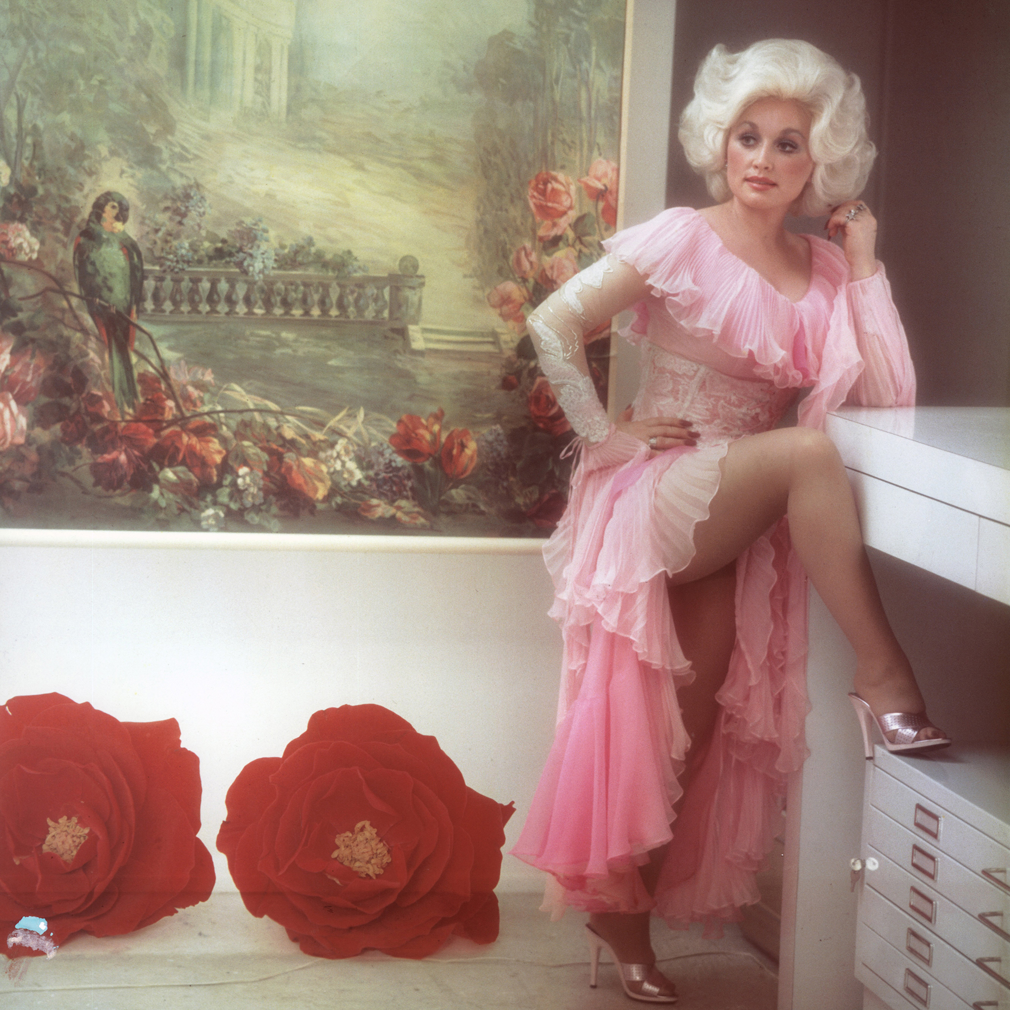 callum devine recommends Dolly Parton Lingerie