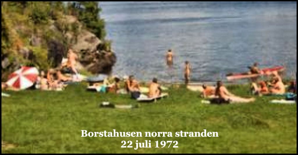 dev saini add swedish nude beach photo