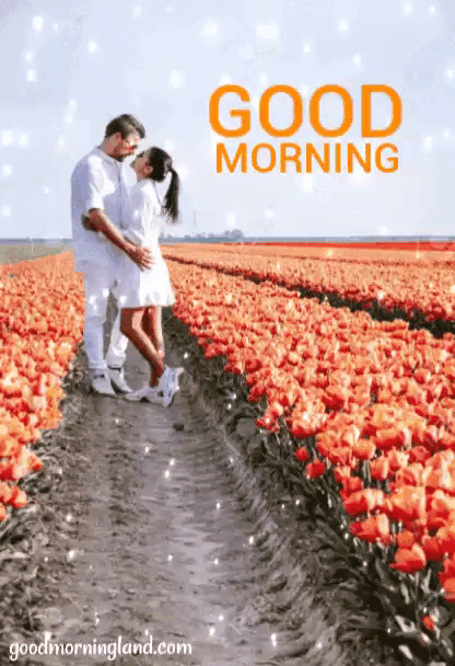 donna hubbell recommends good morning beautiful wife gif pic