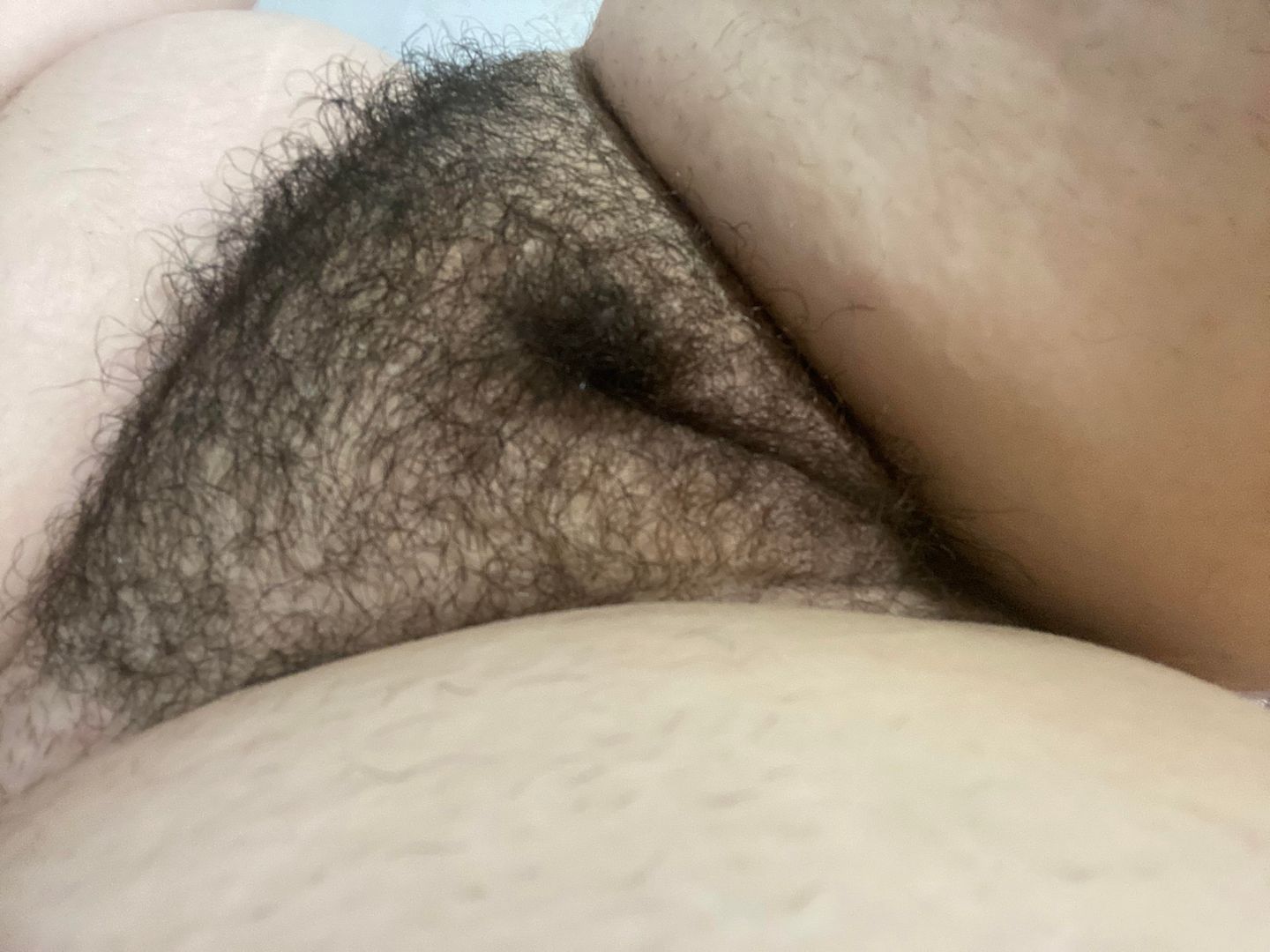Fat Hairy Pussy Pics worm porn