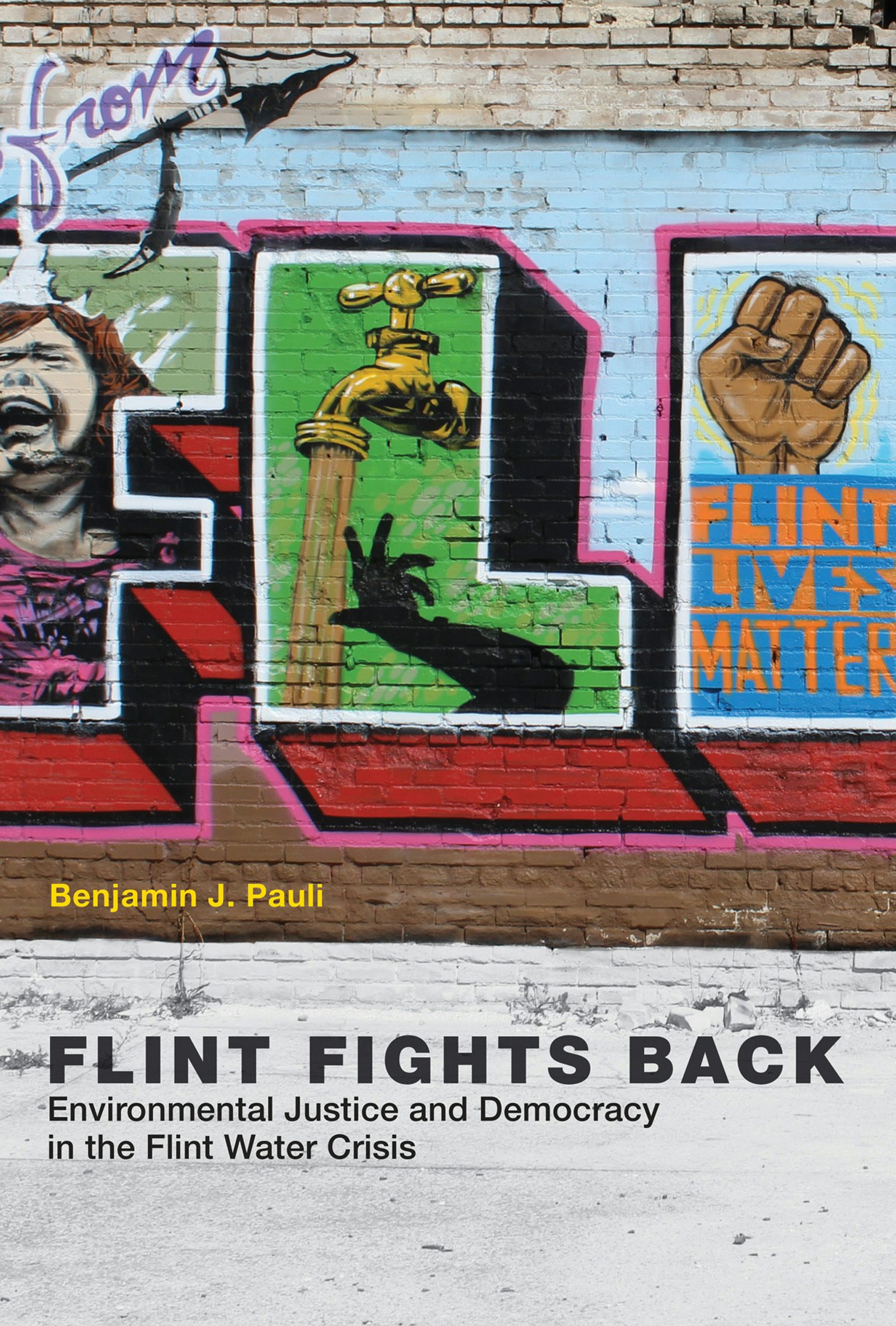 Flint Back Page porn blogs