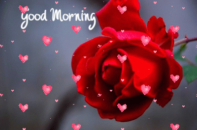 denise spillane recommends Romantic Good Morning My Love Gif