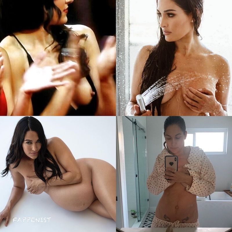 brent boutilier recommends Brie Bella Nip Slip