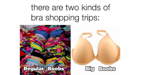 bo bosarge share memes about big boobs photos