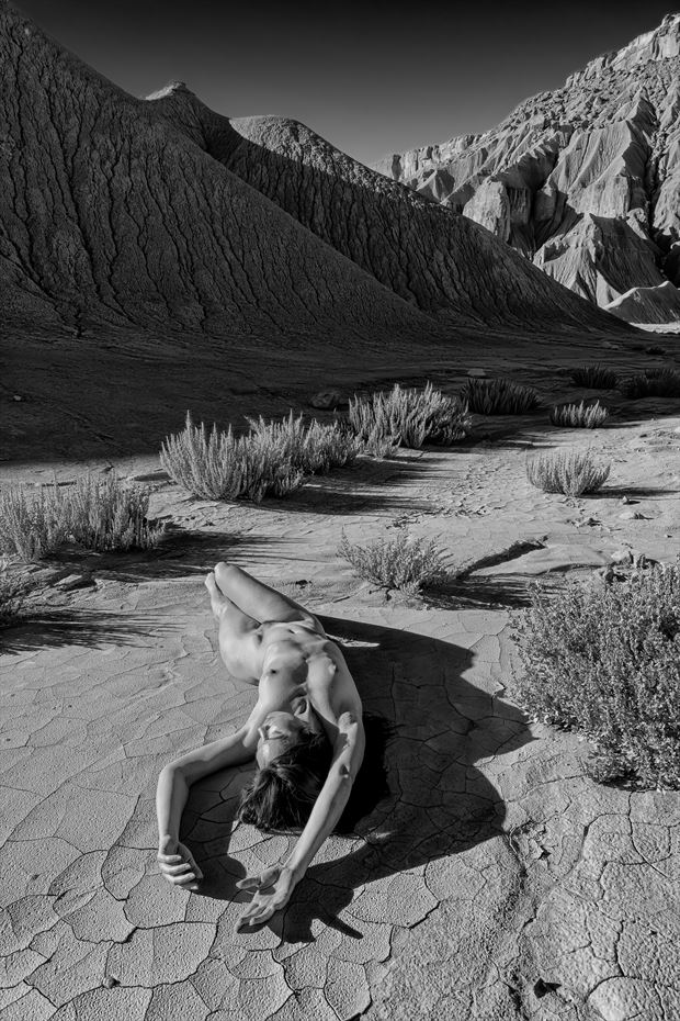 danica chase share nude in the desert photos