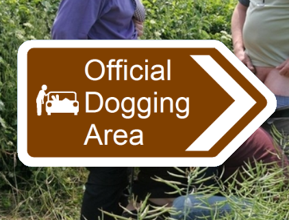 ben sweeting recommends Dogging In The Usa