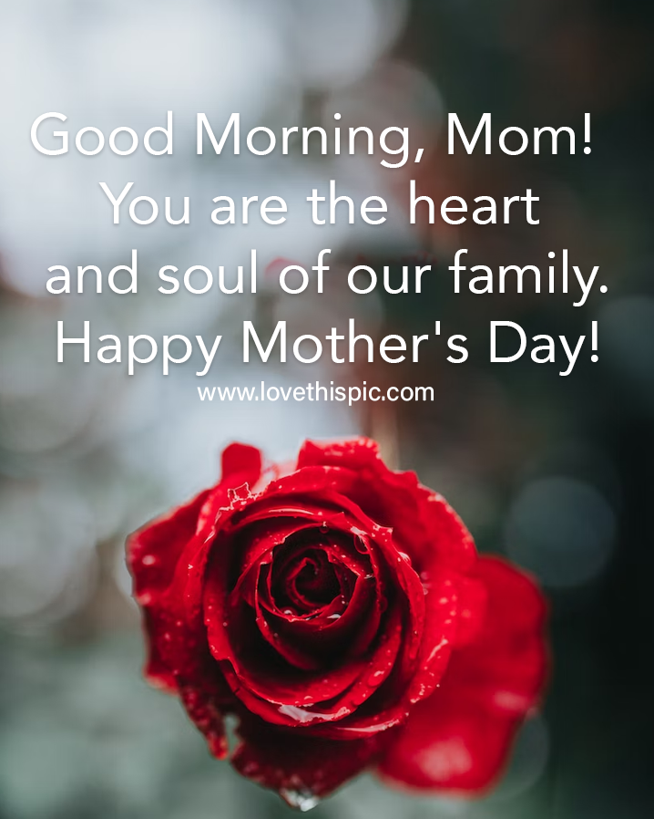 anup neupane recommends Good Morning Josh Mom
