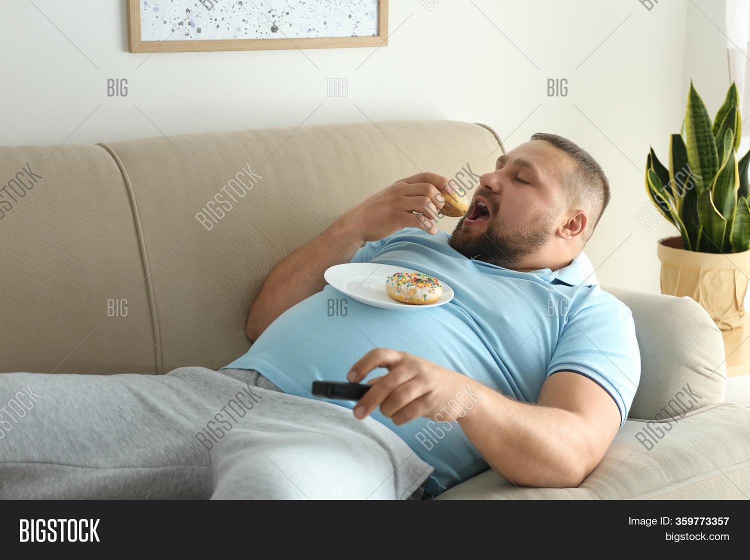 diana lunsford recommends fat guy on couch pic