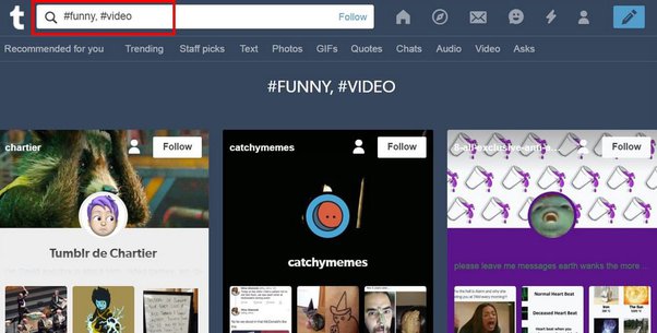 deepa gurnani recommends How To Search Gifs On Tumblr