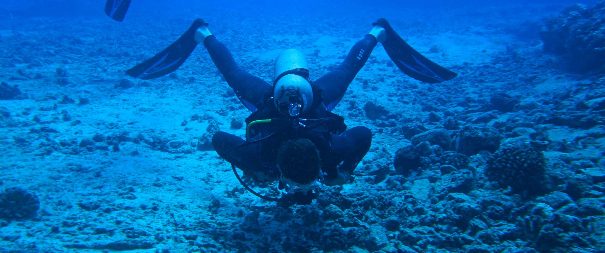 amal ahli add naked scuba diving photo