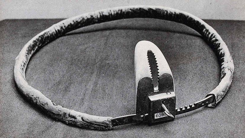 abbas tashakkori recommends female chastity belt torture pic