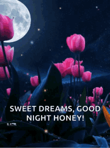 aleksey polyakov recommends Good Night Honey Gif