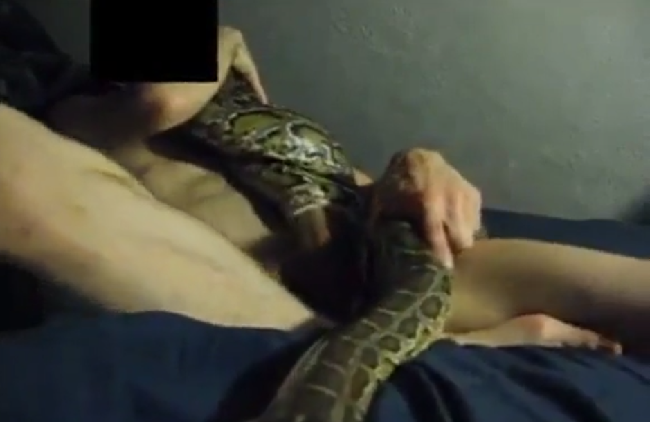 bethany leiter recommends guy fucks a snake pic
